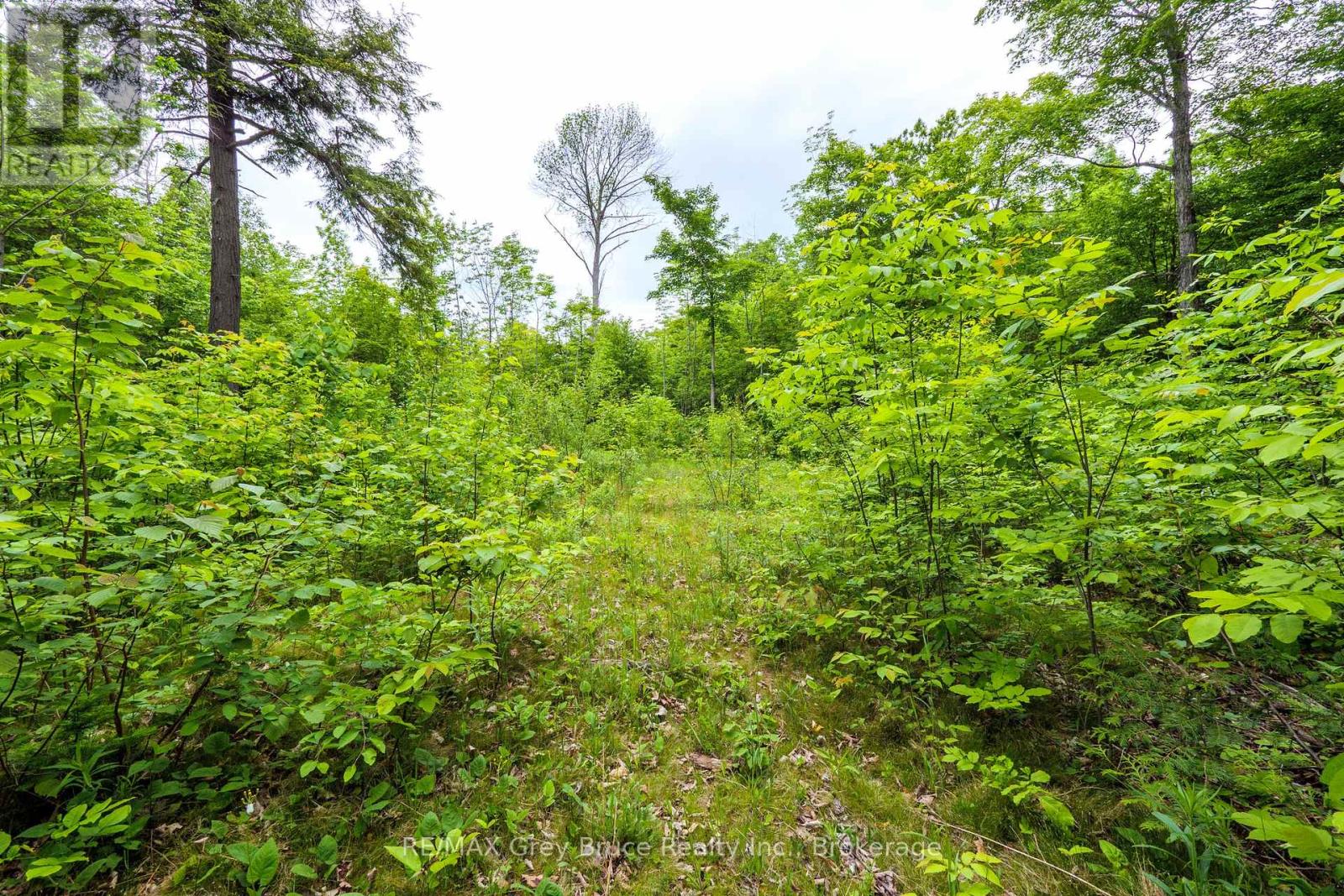 0 Parkside Avenue, South Bruce Peninsula, Ontario  N0H 2T0 - Photo 25 - X12226185