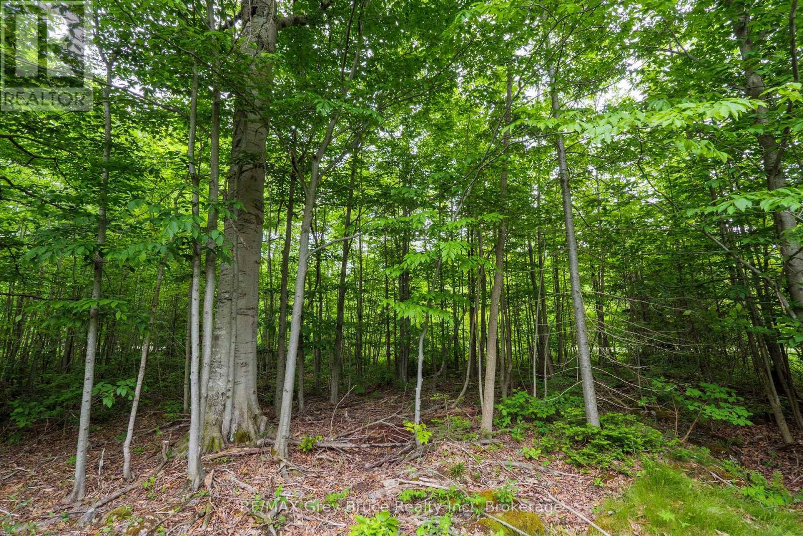 0 Parkside Avenue, South Bruce Peninsula, Ontario  N0H 2T0 - Photo 28 - X12226185