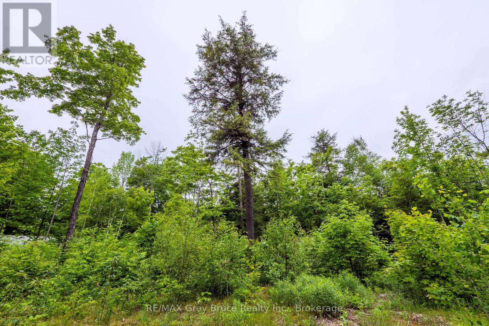0 Parkside Avenue, South Bruce Peninsula, Ontario  N0H 2T0 - Photo 29 - X12226185