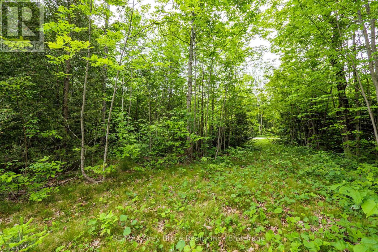 0 Parkside Avenue, South Bruce Peninsula, Ontario  N0H 2T0 - Photo 31 - X12226185