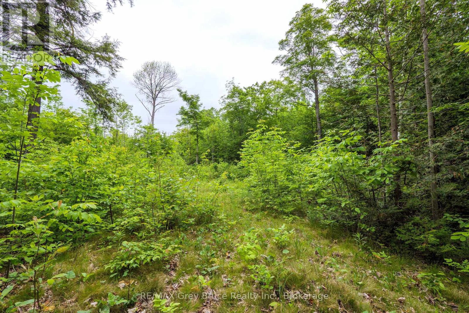 0 Parkside Avenue, South Bruce Peninsula, Ontario  N0H 2T0 - Photo 32 - X12226185
