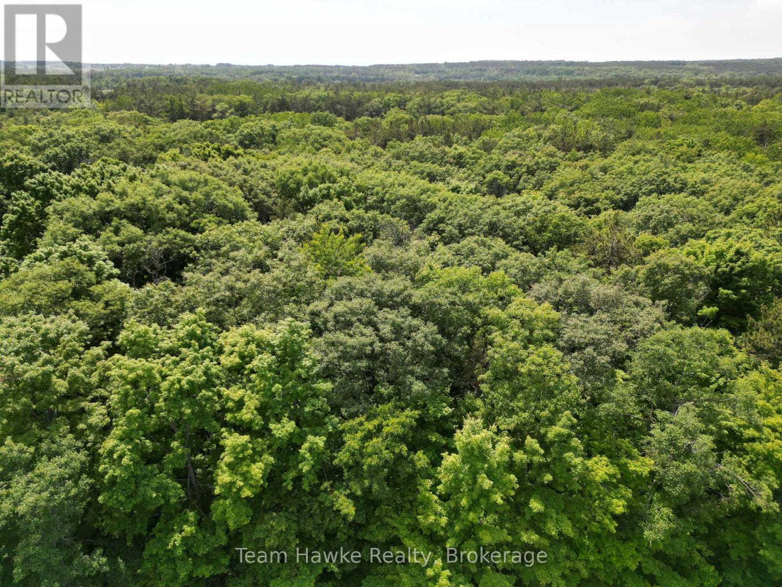 4 Overhead Bridge Road, Tiny, Ontario  L0L 2J0 - Photo 1 - S12226353