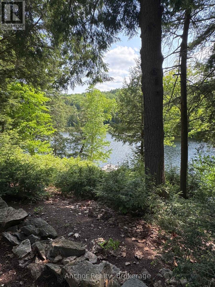 10469 Little Hawk Lake, Algonquin Highlands, Ontario  K0M 1S0 - Photo 15 - X12227784