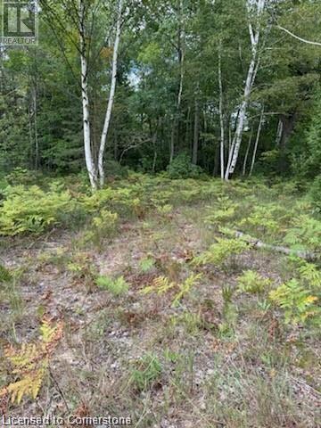 Pt Lot 7 West Ipperwash Road, Lambton Shores, Ontario  N0N 1J0 - Photo 12 - 40742495