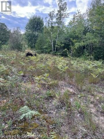 Pt Lot 7 West Ipperwash Road, Lambton Shores, Ontario  N0N 1J0 - Photo 2 - 40742495