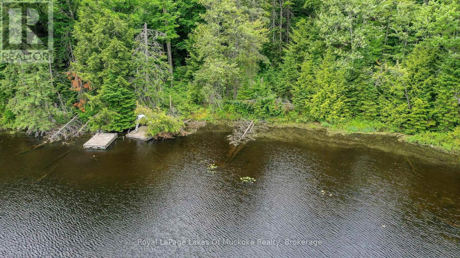 437 Otter Lake Road, Huntsville, Ontario  P1H 2J3 - Photo 2 - X12229071