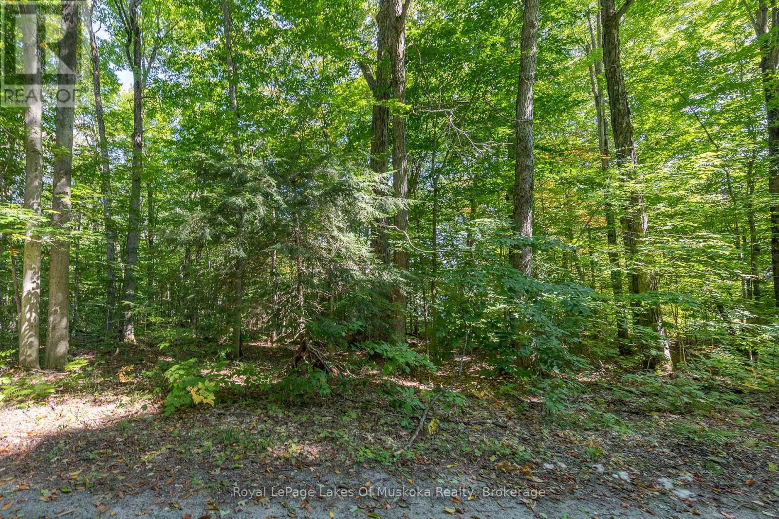 437 Otter Lake Road, Huntsville, Ontario  P1H 2J3 - Photo 7 - X12229071
