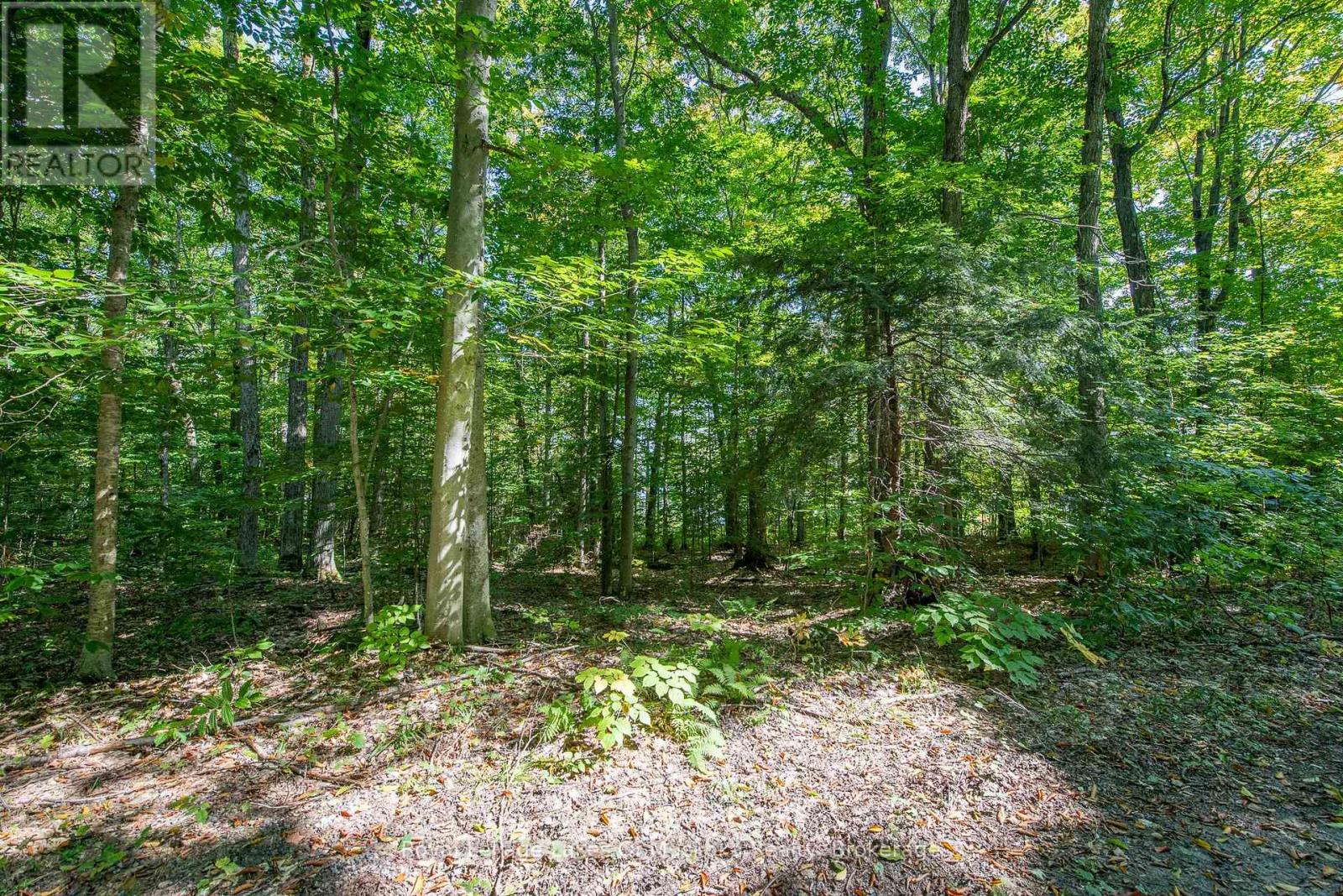 437 Otter Lake Road, Huntsville, Ontario  P1H 2J3 - Photo 8 - X12229071