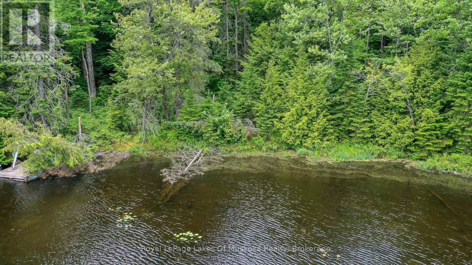 437 Otter Lake Road, Huntsville, Ontario  P1H 2J3 - Photo 9 - X12229071