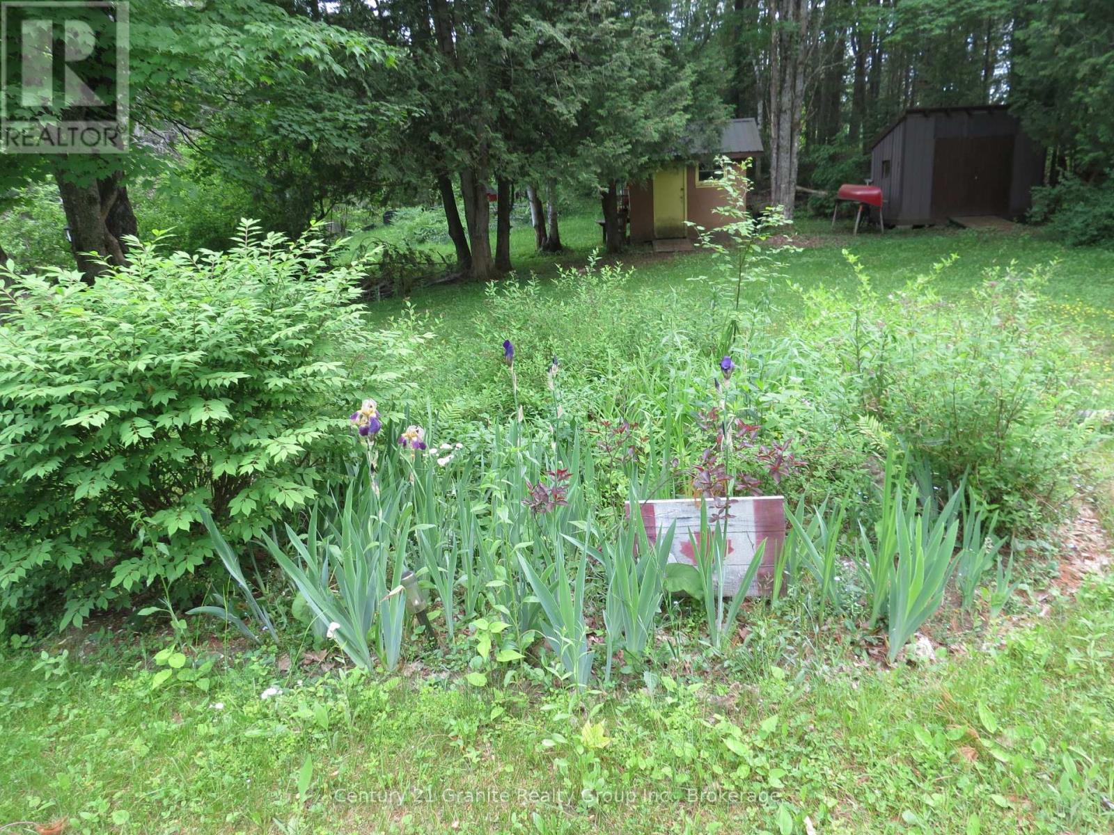 10208 County Rd 503 Road, Highlands East, Ontario  K0M 1R0 - Photo 33 - X12229118