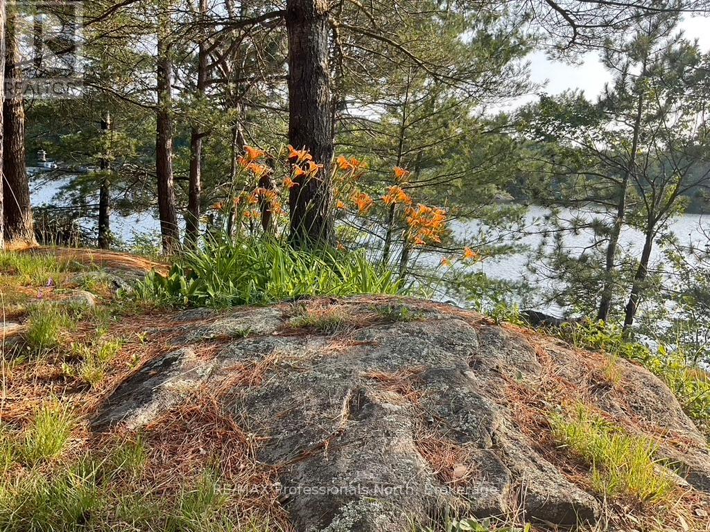 11437 Devils Lake Wao, Minden Hills, Ontario  K0M 2L1 - Photo 28 - X12229851