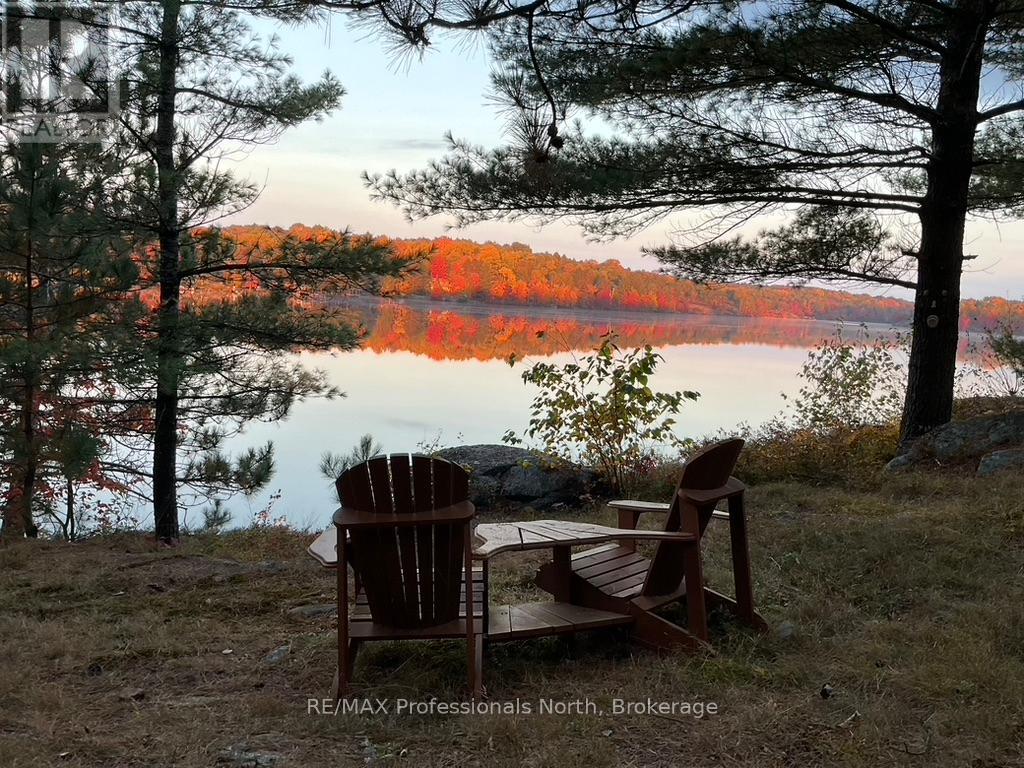 11437 Devils Lake Wao, Minden Hills, Ontario  K0M 2L1 - Photo 34 - X12229851