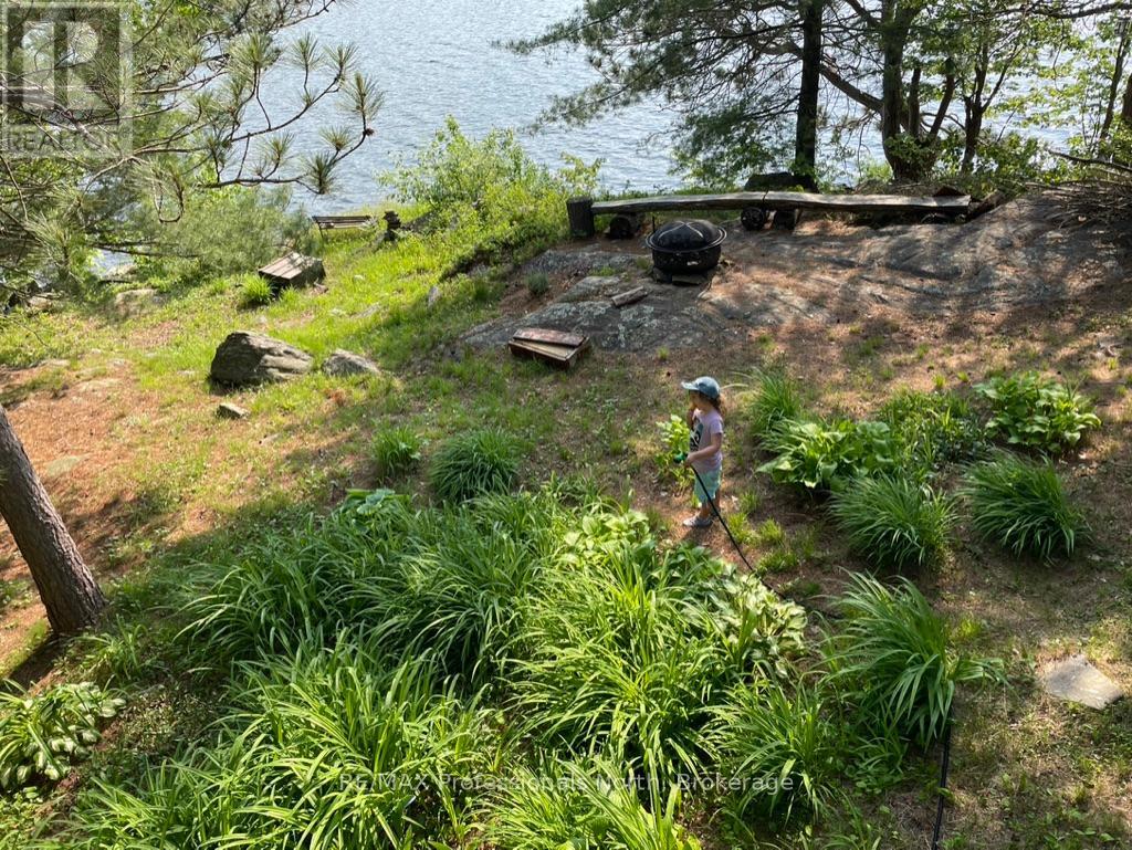 11437 Devils Lake Wao, Minden Hills, Ontario  K0M 2L1 - Photo 36 - X12229851