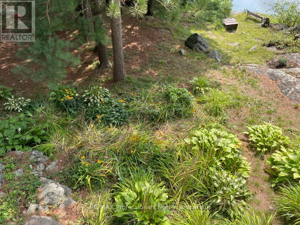 11437 Devils Lake Wao, Minden Hills, Ontario  K0M 2L1 - Photo 37 - X12229851