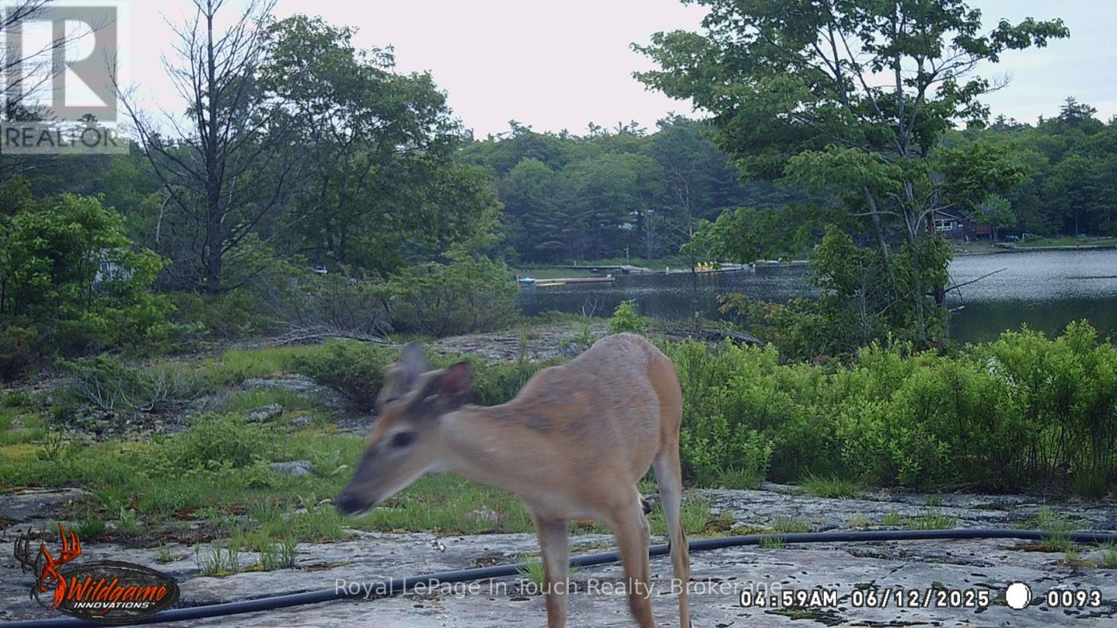 6980 Island 1810, Georgian Bay, Ontario  P0E 1E0 - Photo 25 - X12230985