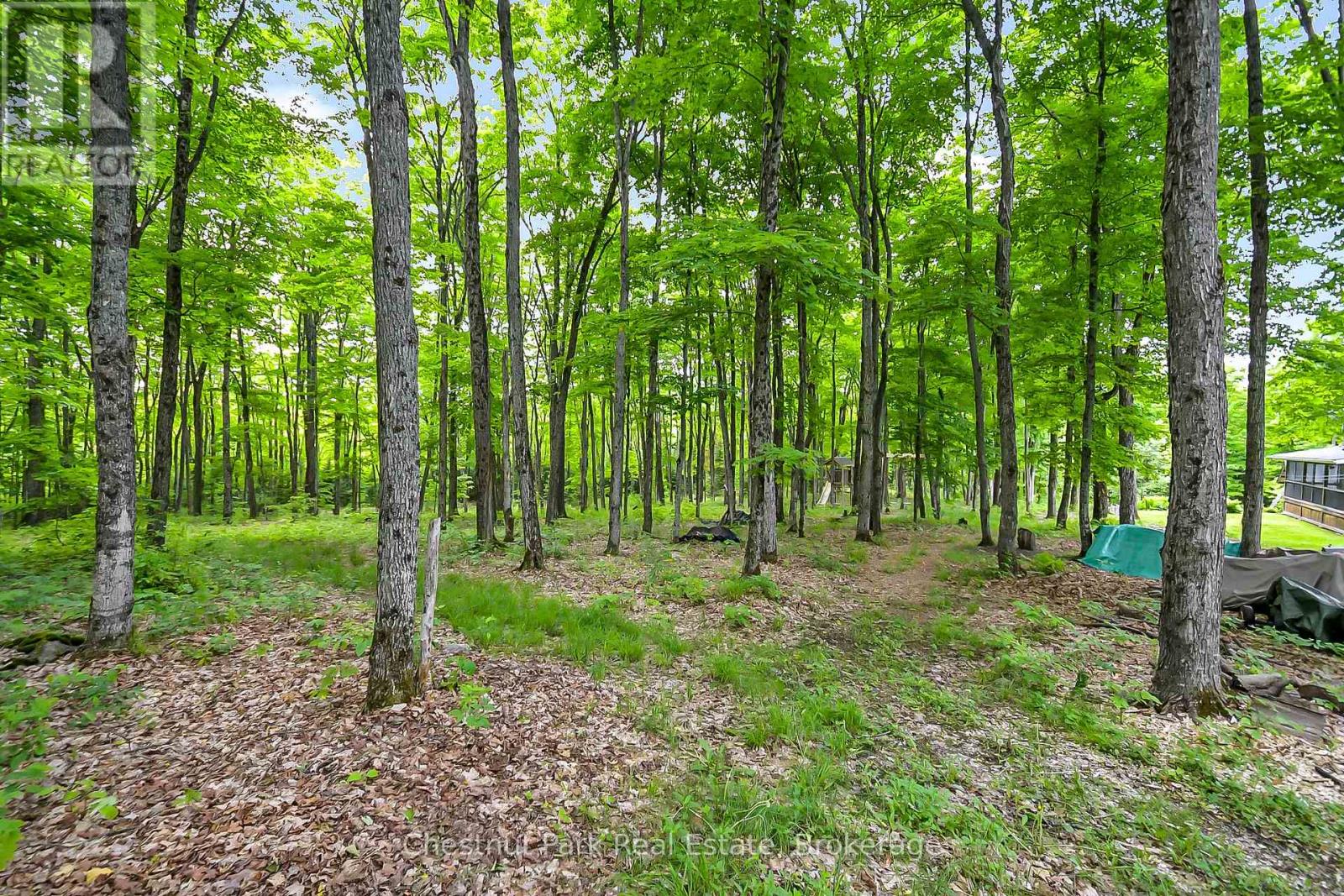 865 Garage Road, Armour, Ontario  P0A 1C0 - Photo 49 - X12231403