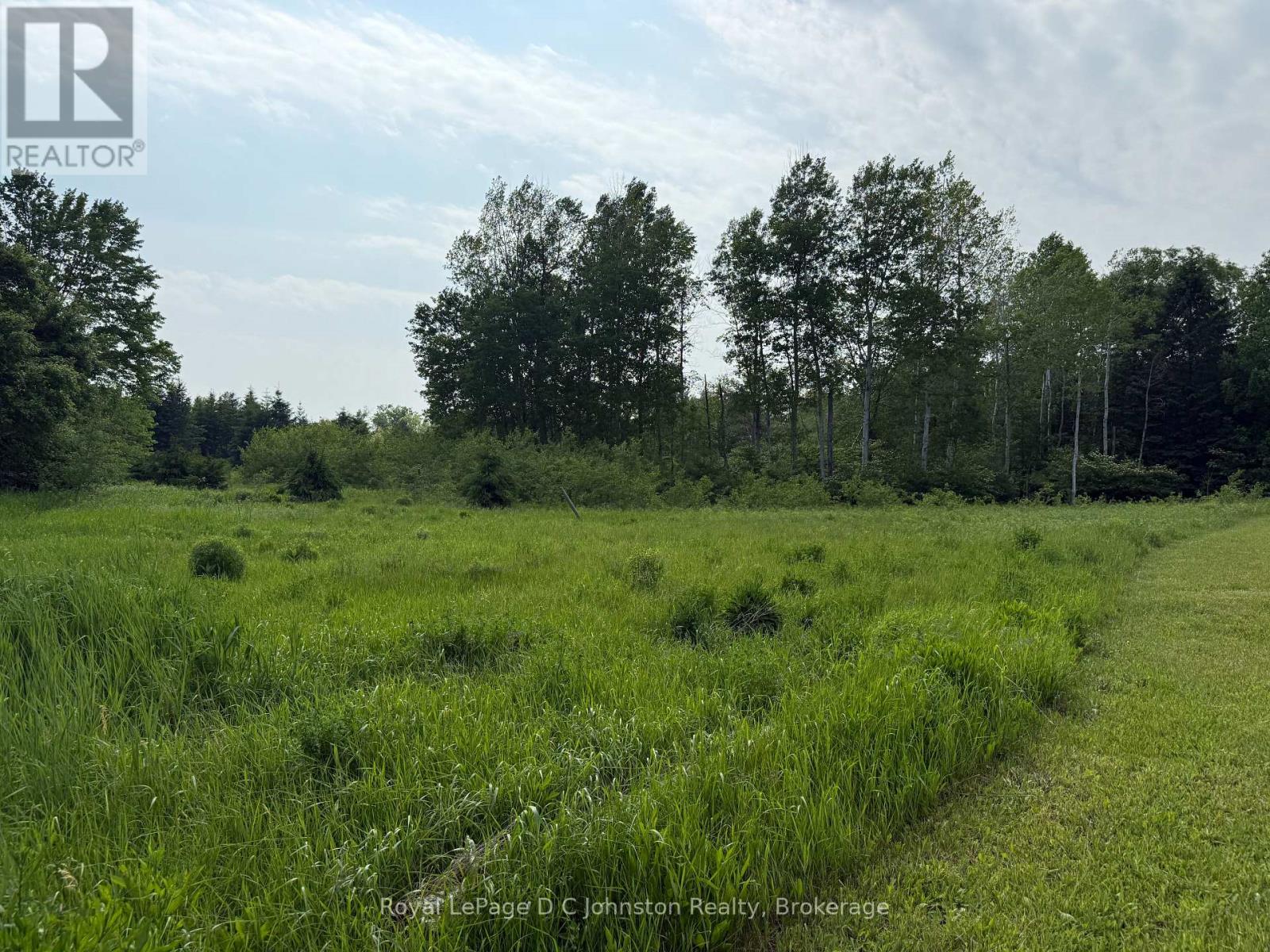 381479 Concession 4 Ndr Concession, West Grey, Ontario  N4N 3B9 - Photo 10 - X12231429
