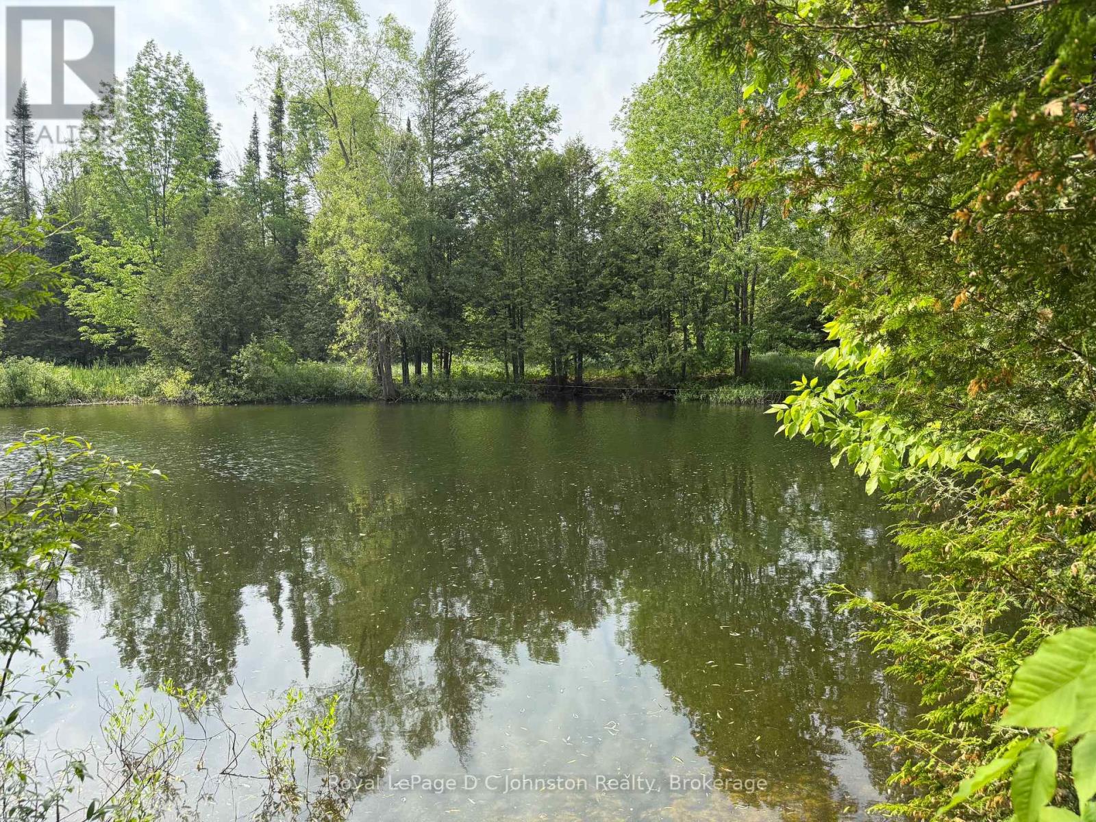 381479 Concession 4 Ndr Concession, West Grey, Ontario  N4N 3B9 - Photo 17 - X12231429