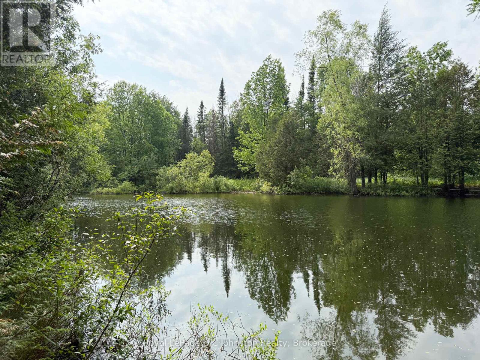 381479 Concession 4 Ndr Concession, West Grey, Ontario  N4N 3B9 - Photo 18 - X12231429