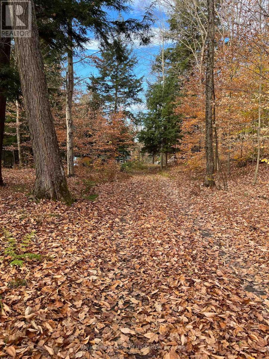 1358 Kushog Lake Road, Algonquin Highlands, Ontario  K0M 1S0 - Photo 46 - X12232114