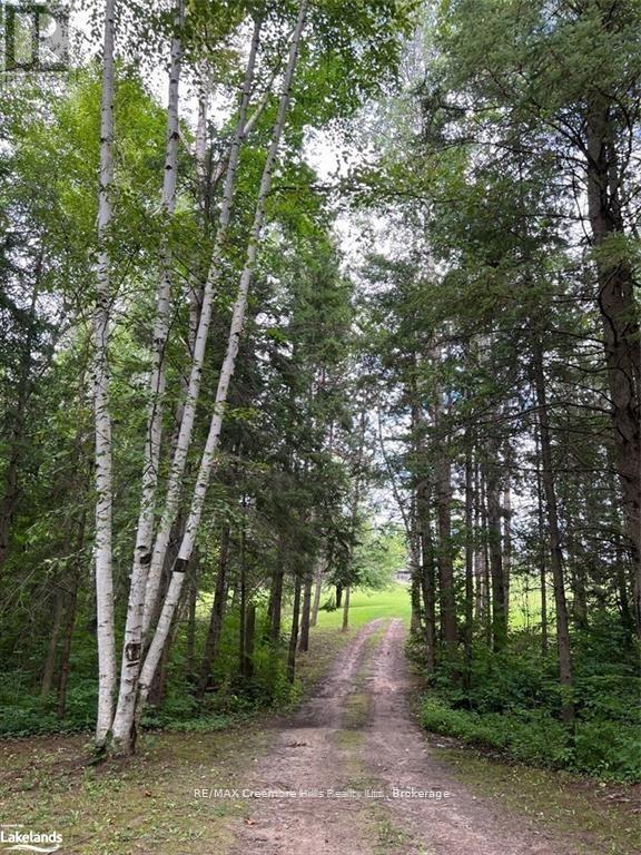 2332 Centre Line Road, Clearview, Ontario  L0M 1G0 - Photo 12 - S12234806