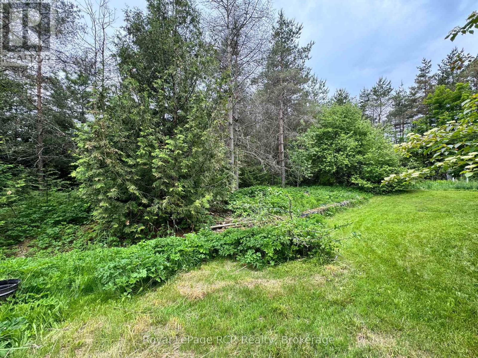 585250 Sideroad 10 A, Grey Highlands, Ontario  N0C 1H0 - Photo 16 - X12234816