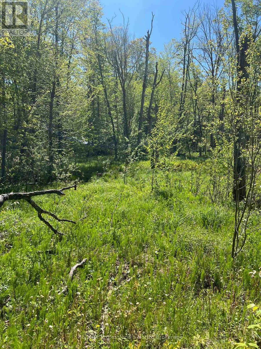 0 Trapper's Trail Road, Dysart Et Al, Ontario  K0M 1S0 - Photo 11 - X12234878