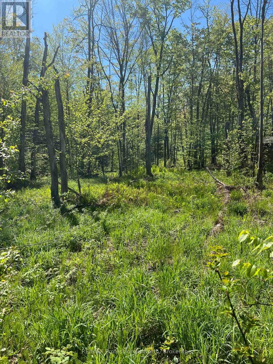 0 Trapper's Trail Road, Dysart Et Al, Ontario  K0M 1S0 - Photo 12 - X12234878