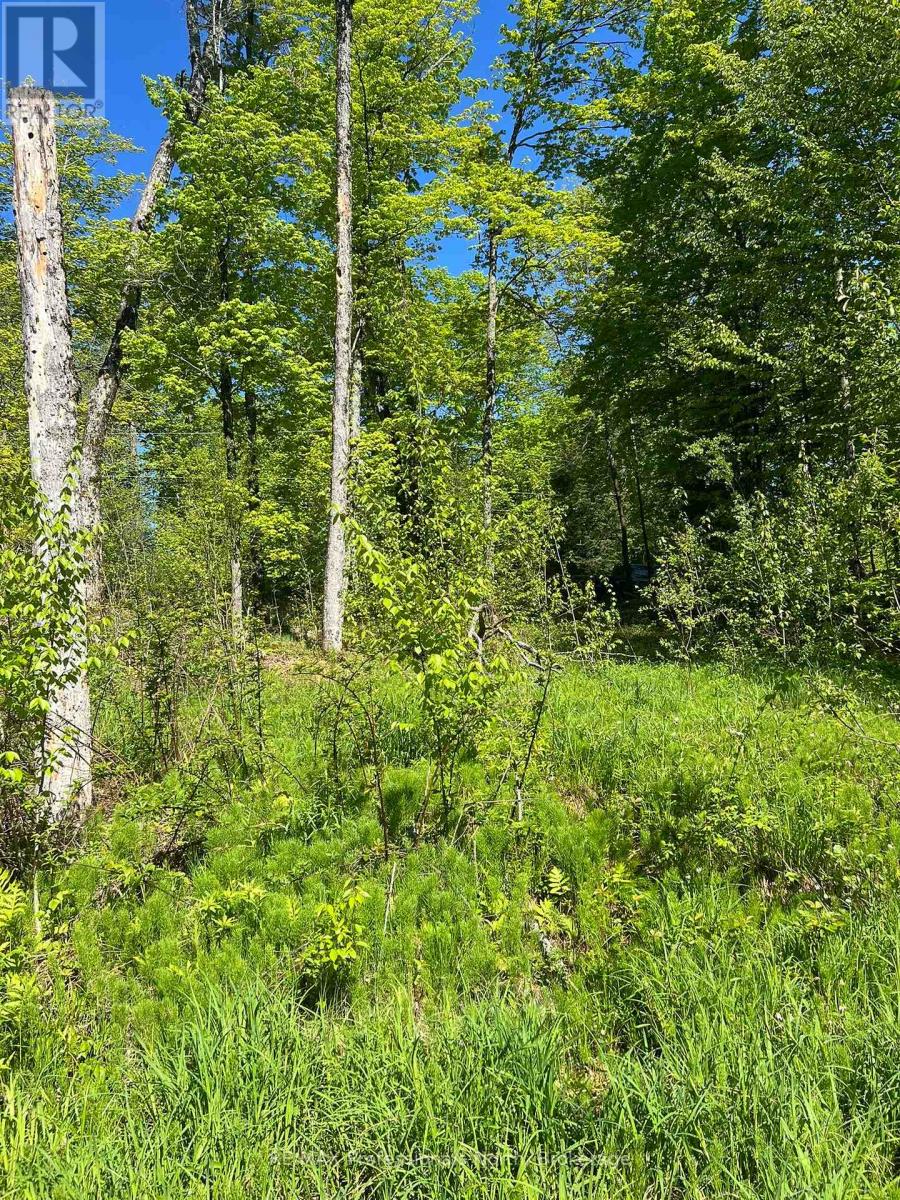 0 Trapper's Trail Road, Dysart Et Al, Ontario  K0M 1S0 - Photo 14 - X12234878