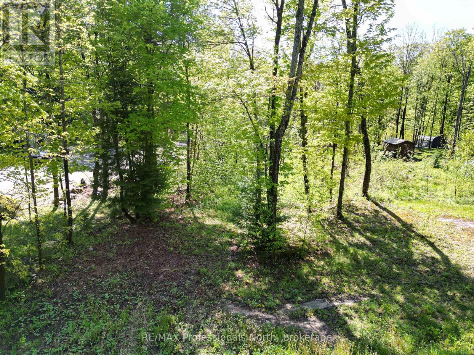 0 Trapper's Trail Road, Dysart Et Al, Ontario  K0M 1S0 - Photo 3 - X12234878