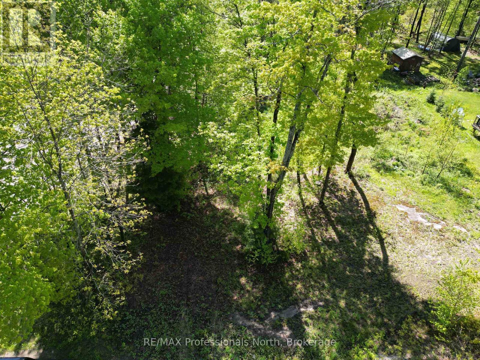 0 Trapper's Trail Road, Dysart Et Al, Ontario  K0M 1S0 - Photo 4 - X12234878