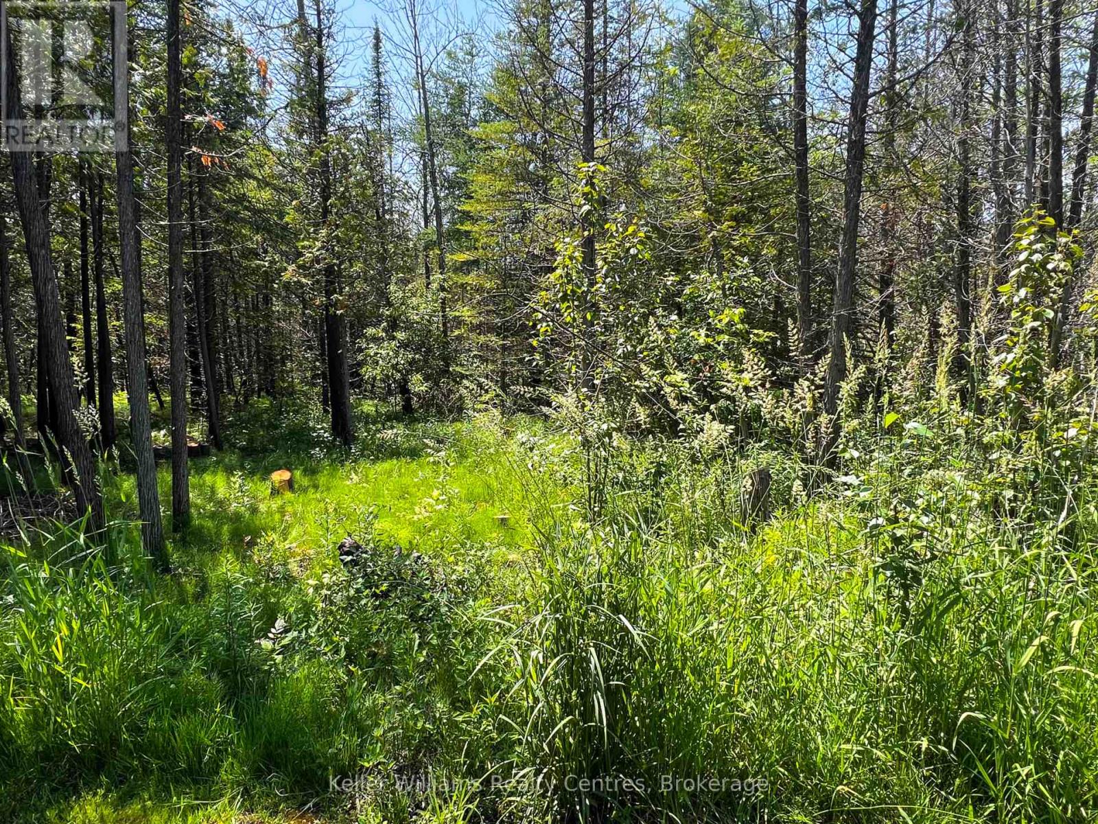 19 Laurdo Crescent, South Bruce Peninsula, Ontario  N0H 2T0 - Photo 12 - X12235104