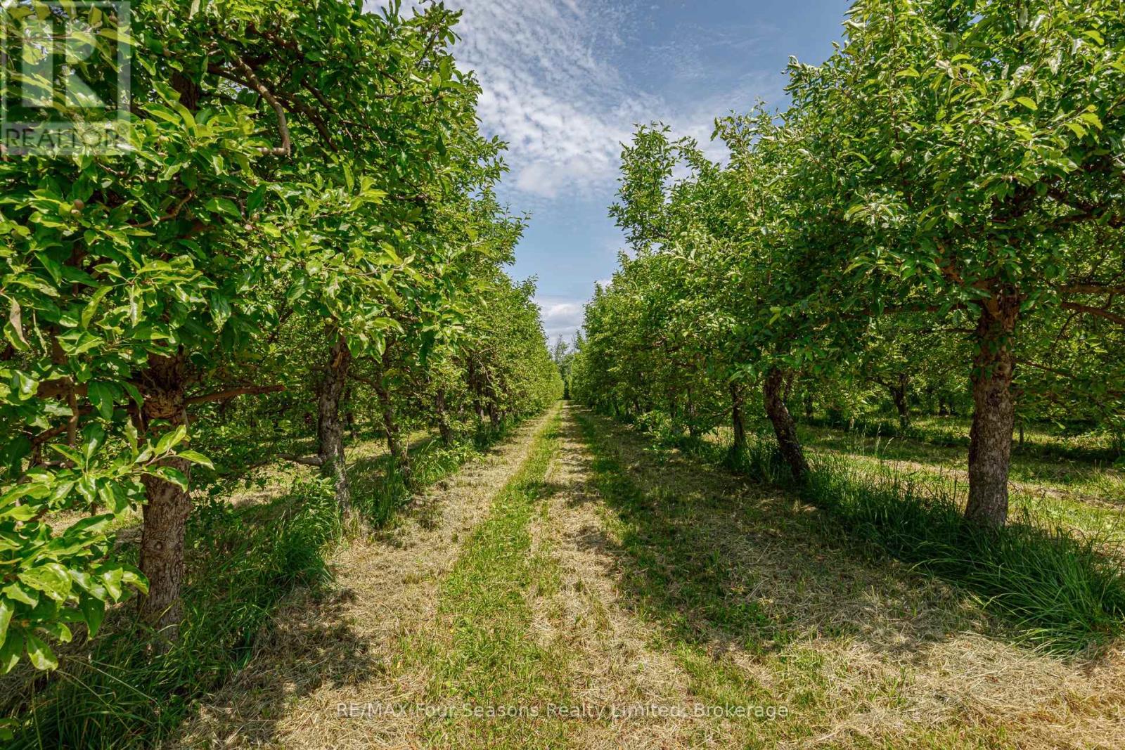 416476 10th Line S, Blue Mountains, Ontario  N0H 1J0 - Photo 37 - X12235249