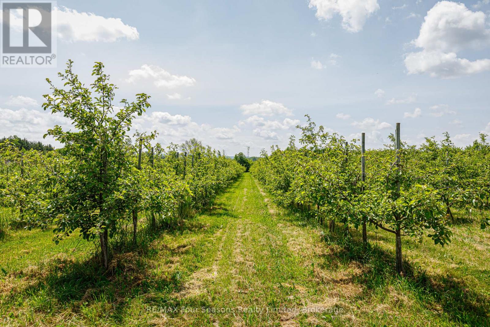 416476 10th Line S, Blue Mountains, Ontario  N0H 1J0 - Photo 38 - X12235249