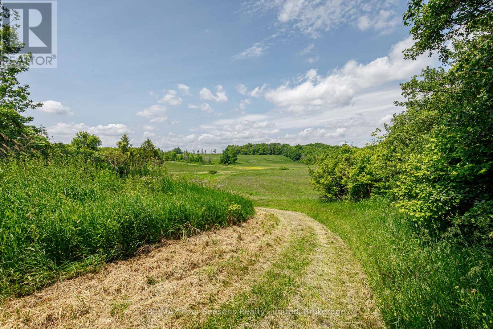 416476 10th Line S, Blue Mountains, Ontario  N0H 1J0 - Photo 47 - X12235249
