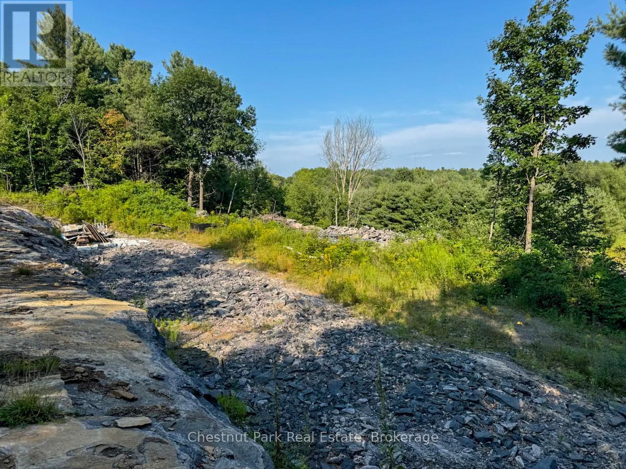 1681 MUSKOKA BEACH ROAD, Bracebridge, Ontario
