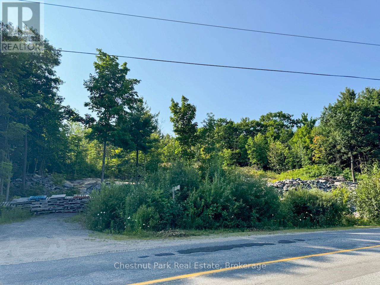 1681 Muskoka Beach Road, Bracebridge, Ontario  P1P 1R1 - Photo 4 - X12235841