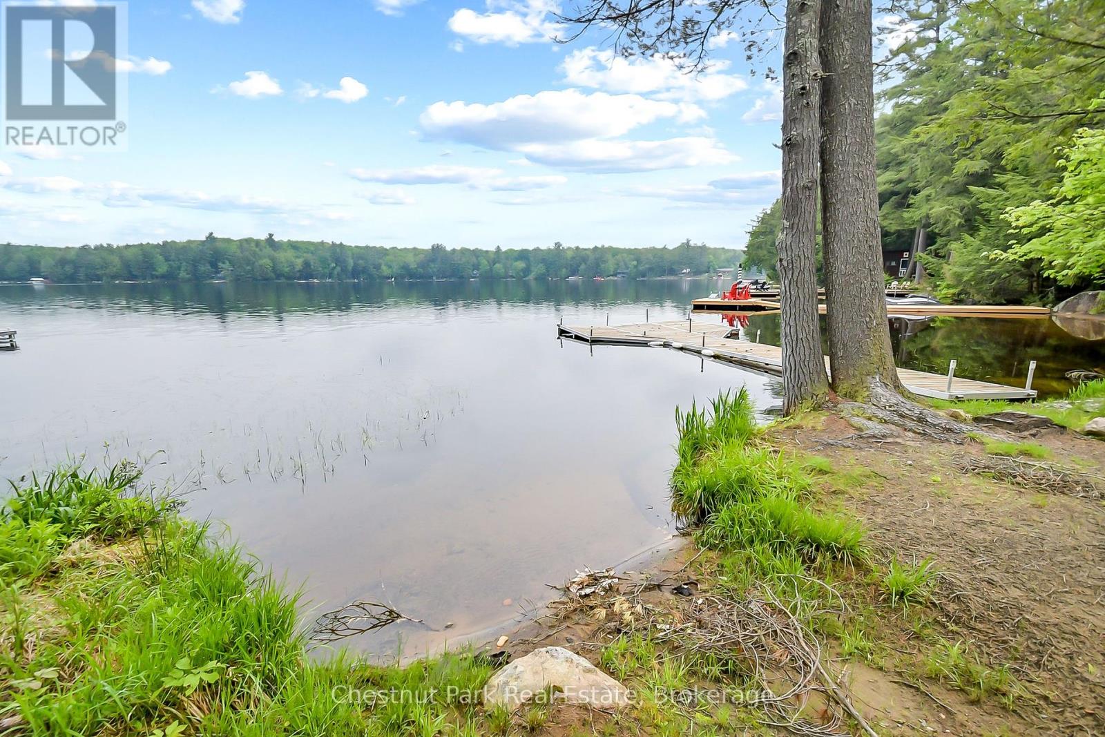 1002 Leech Lake Point Road, Bracebridge, Ontario  P1L 1X3 - Photo 34 - X12235959