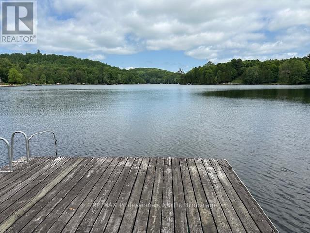 1981 Horseshoe Lake Road, Minden Hills, Ontario  K0M 2K0 - Photo 40 - X12235984