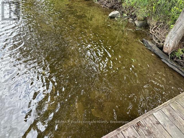 1981 Horseshoe Lake Road, Minden Hills, Ontario  K0M 2K0 - Photo 44 - X12235984