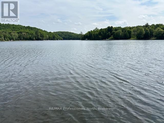1981 Horseshoe Lake Road, Minden Hills, Ontario  K0M 2K0 - Photo 47 - X12235984