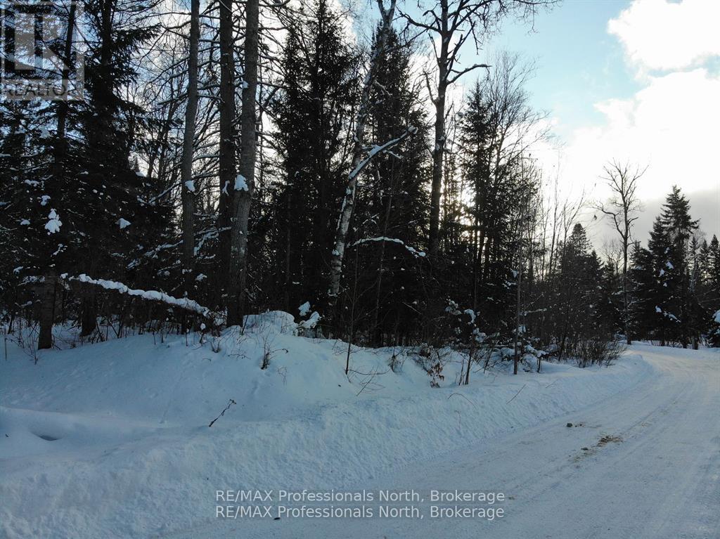 15 Robert Road E, Huntsville, Ontario  P1H 2J4 - Photo 4 - X12236143