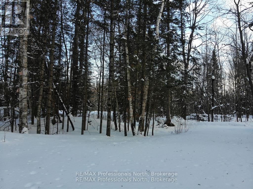 15 Robert Road E, Huntsville, Ontario  P1H 2J4 - Photo 5 - X12236143
