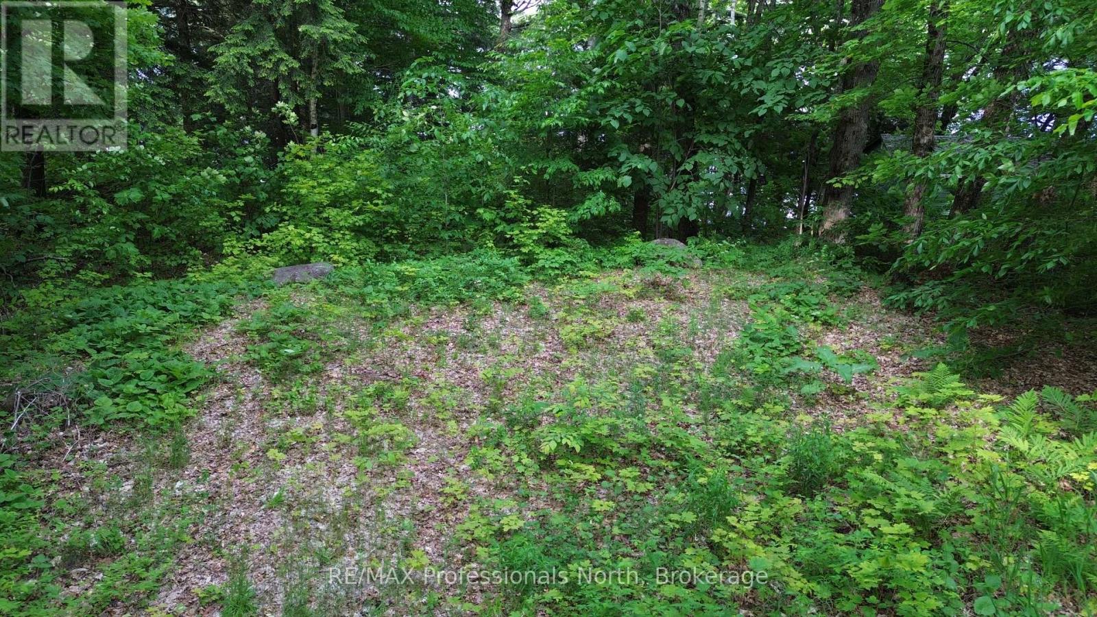 1012 Betula Crescent, Highlands East, Ontario  K0L 1M1 - Photo 11 - X12236261