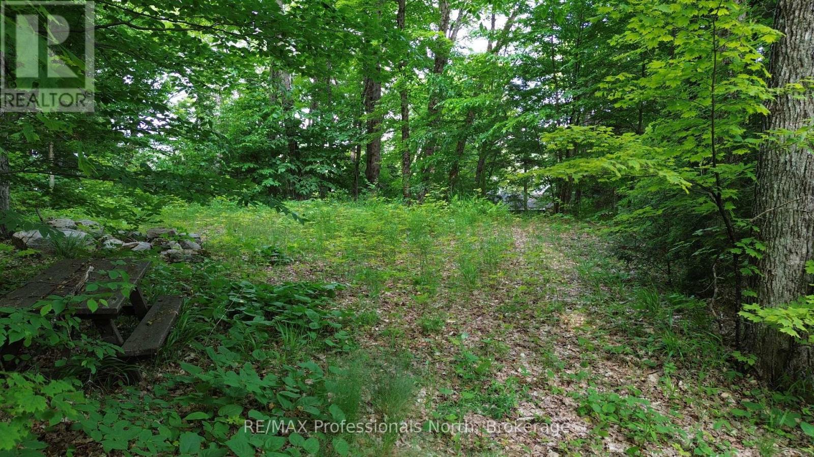 1012 Betula Crescent, Highlands East, Ontario  K0L 1M1 - Photo 12 - X12236261