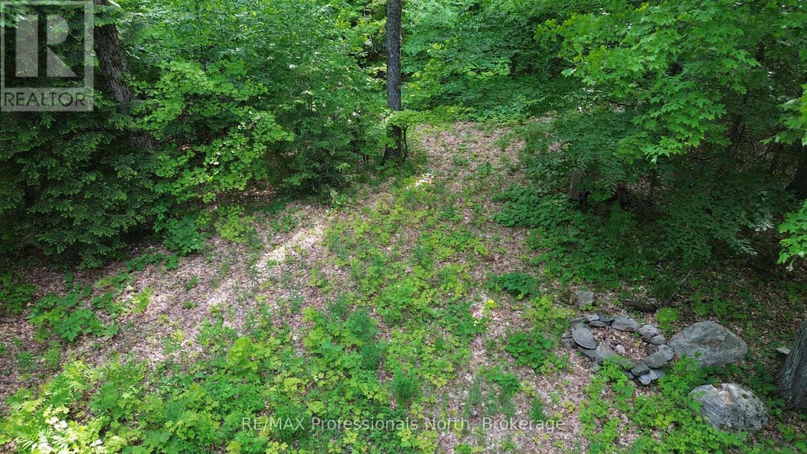 1012 Betula Crescent, Highlands East, Ontario  K0L 1M1 - Photo 9 - X12236261