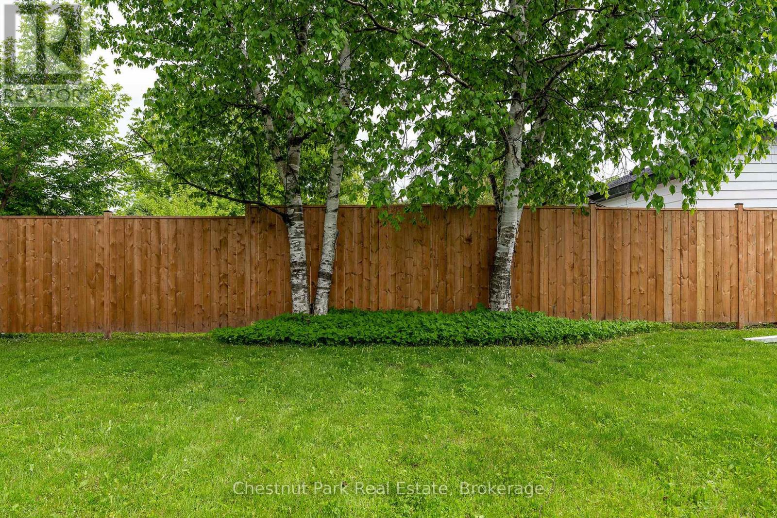 167 Peel Street, Collingwood, Ontario  L9Y 3V7 - Photo 4 - S12236633