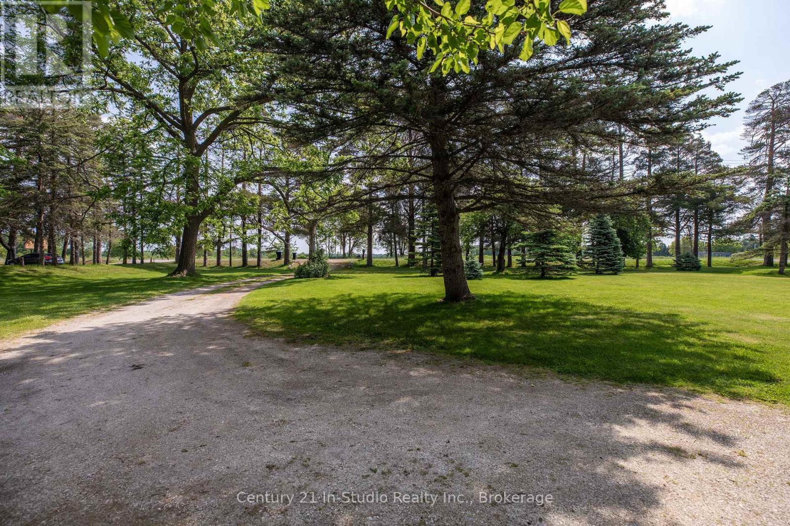 3926 County Road 124 Road, Clearview, Ontario  L0M 1P0 - Photo 3 - S12237174