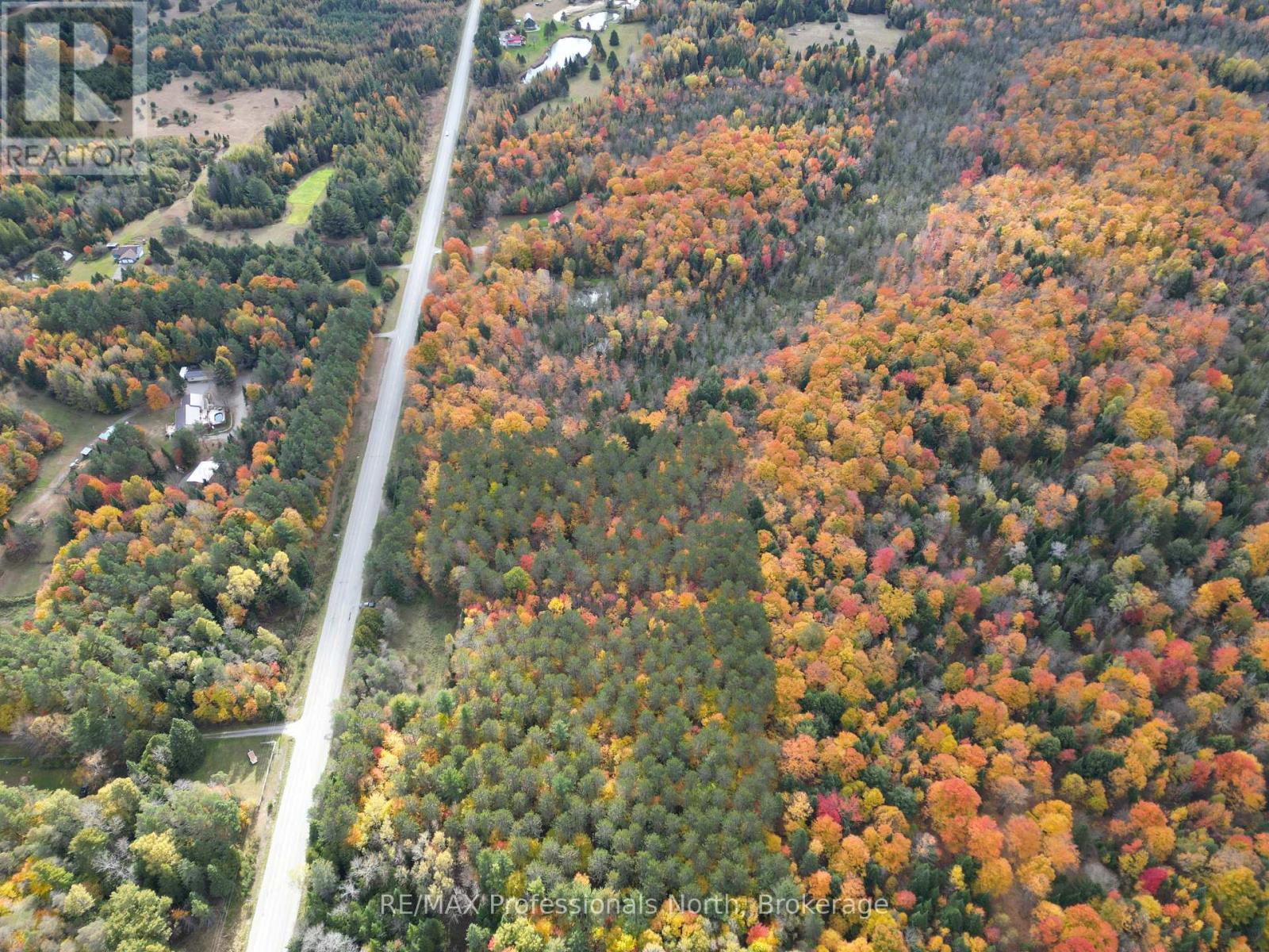 0 County Road 121, Kawartha Lakes, Ontario  K0M 2A0 - Photo 11 - X12237632