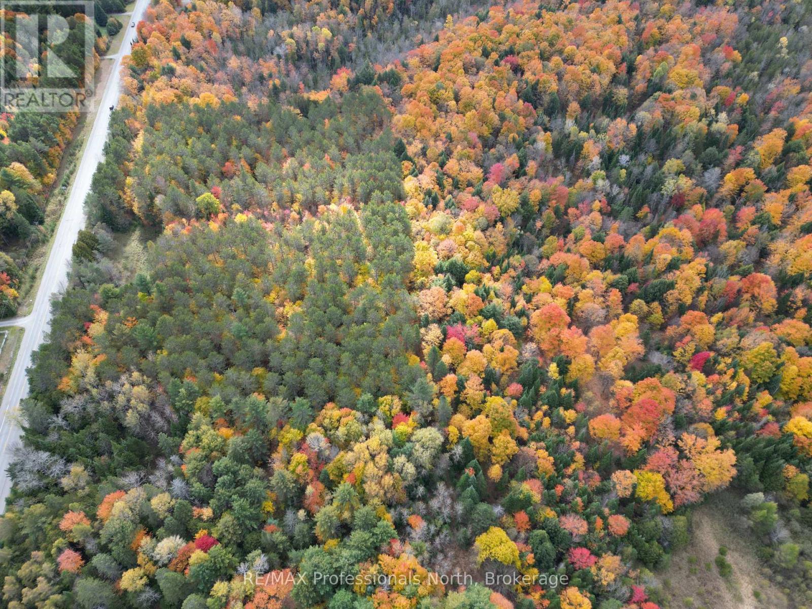 0 County Road 121, Kawartha Lakes, Ontario  K0M 2A0 - Photo 12 - X12237632